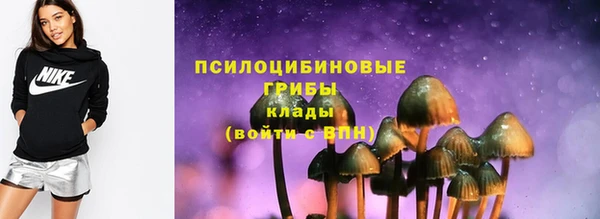 первитин Инта