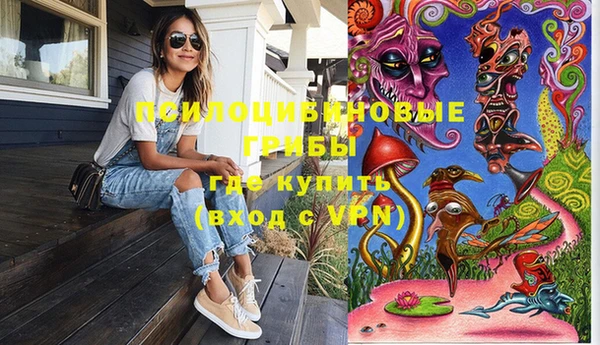 первитин Инта